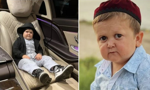 Brenda jetës luksoze të Hasbulla Magomedov me avionë privatë dhe makina të shpejta