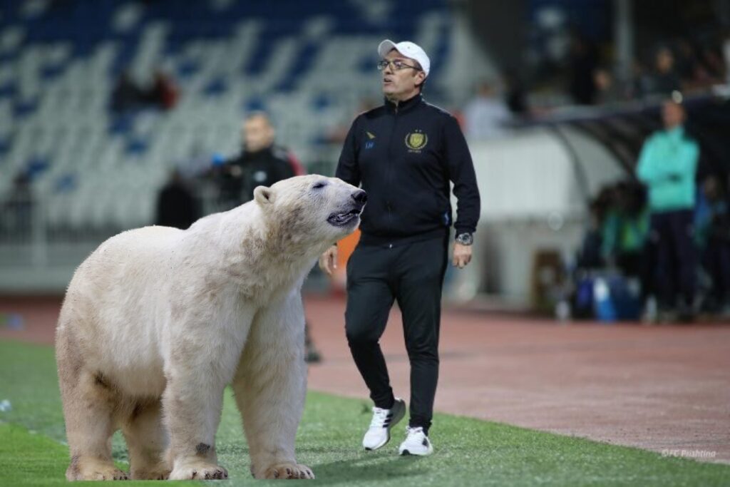 Ismet Munishi s’i tutet shkarkimit: Jam i mbrojtur si ariu polar!
