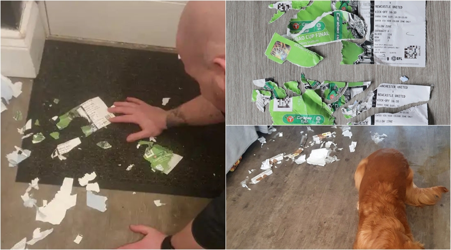 Qeni ia hëngri biletën për finale të Carabao Cup, tifozi i Newcastle United e qet në shitje