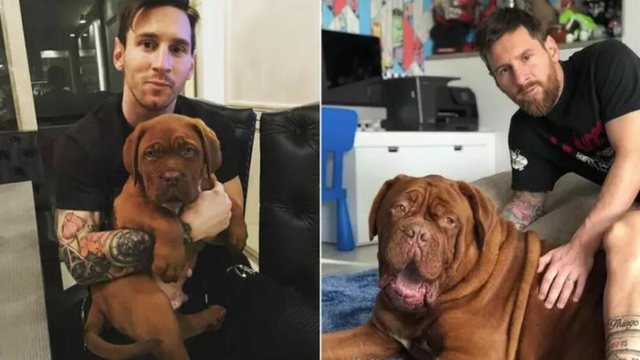 Messi i mërzitur në SHBA, qeni i ka mbetur në Barcelonë!